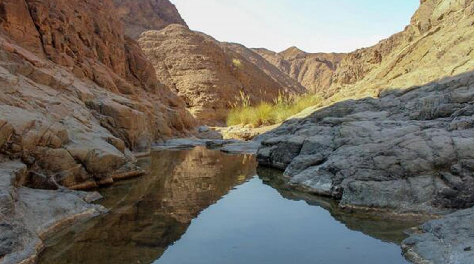 UAE’s Wadi Wurayah National Park inscribed on UNESCO World Heritage List